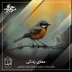 معنای زندگی