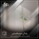 زندگی مینیمالیستی