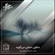 سکون سخن می‌گوید