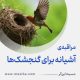مراقبۀ «آشیانه برای گنجشک‌ها»