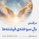 مراقبۀ «بالِ سوختۀ فرشته‌ها»