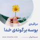 مراقبۀ «بوسه‌ بر گونۀ خدا»