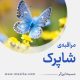 مراقبۀ «شاپرک»