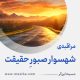 مراقبۀ «شهسوارِ صبورِ حقیقت»