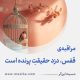 مراقبۀ «قفس، دزدِ حقیقتِ پرنده است»
