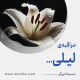 مراقبۀ «لیلی»