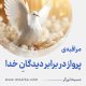 مراقبۀ «پرواز در برابرِ دیدگانِ خدا»