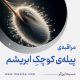 مراقبۀ «پیلۀ کوچکِ ابریشم»