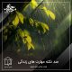 صد نکته مهارت های زندگی
