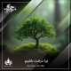 بیا درخت باشیم