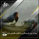 پرنده زیر بار سنگین خاطره هایش مُرد