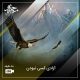 آزادی کسی نبودن