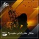 سلطان عشقی,گدایی عشق چرا؟
