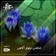 شکفتن نیلوفر آگاهی