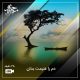 دم را غنیمت بدان