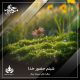 شبنم حضور خدا