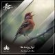 آواز پرنده ها