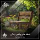 لحظه های واقعی زندگی