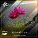 قدرت شگفت تسلیم